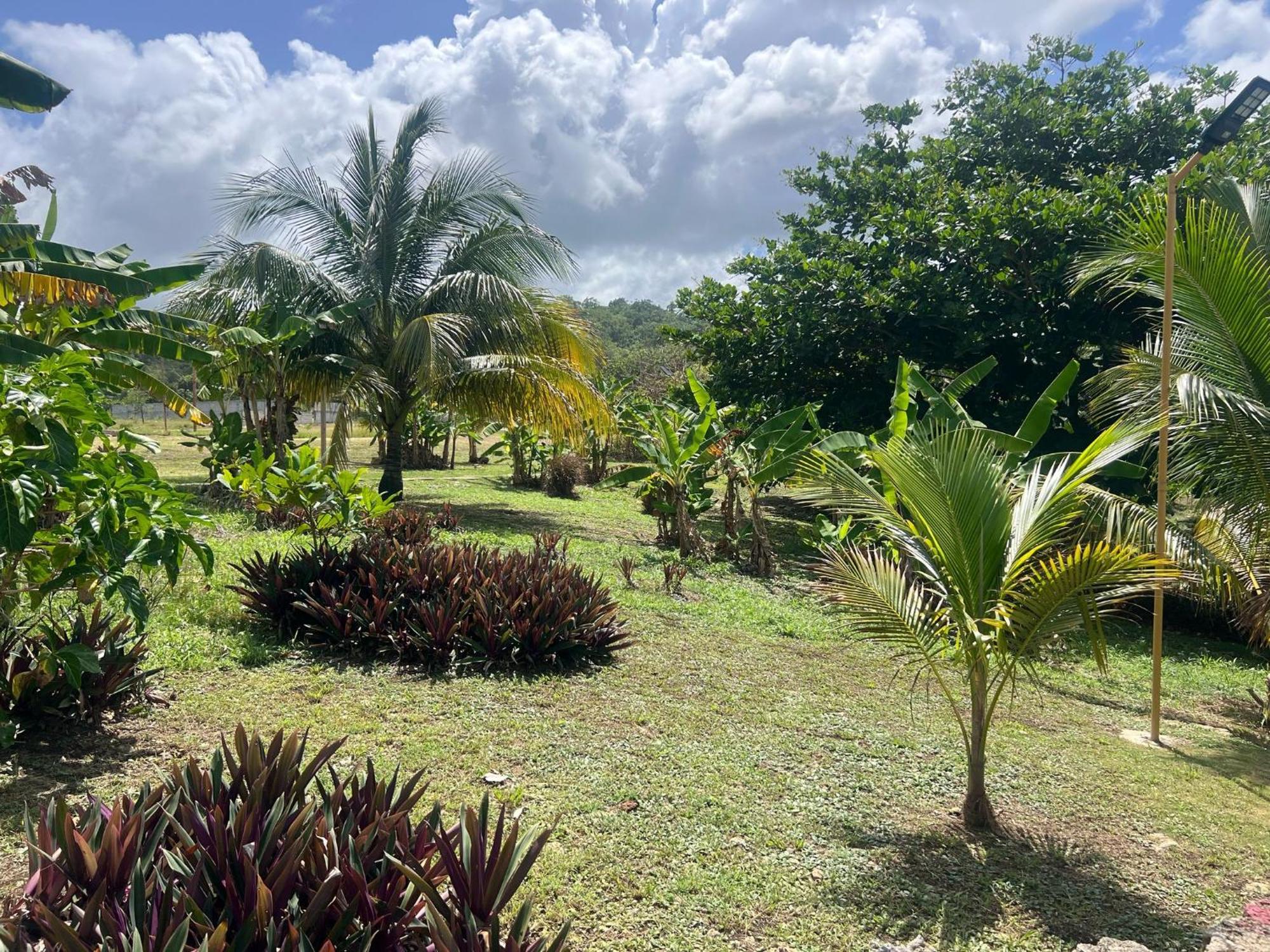The Sea Cliff Hotel Resort & Spa Port Antonio Exterior photo