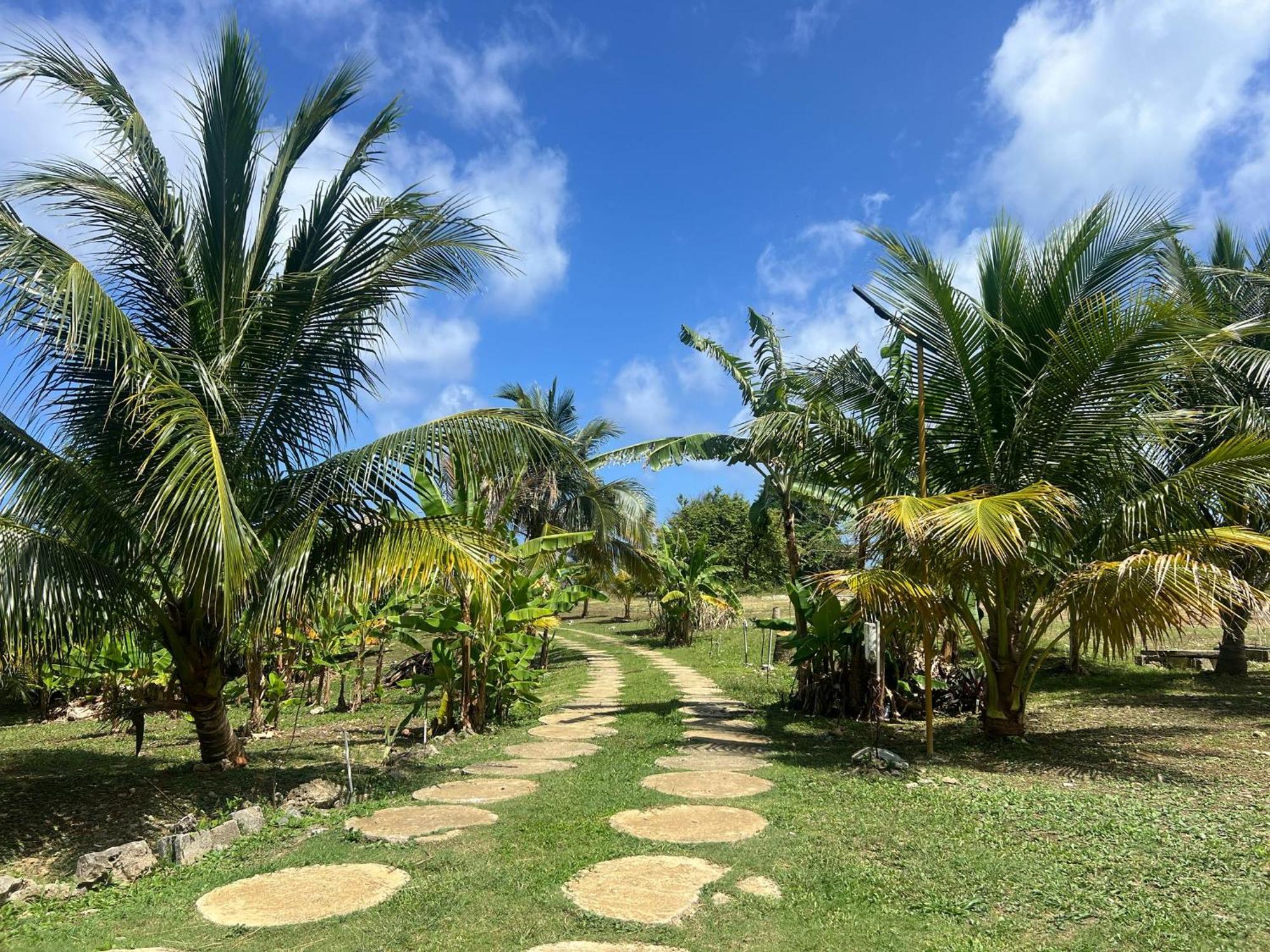 The Sea Cliff Hotel Resort & Spa Port Antonio Exterior photo
