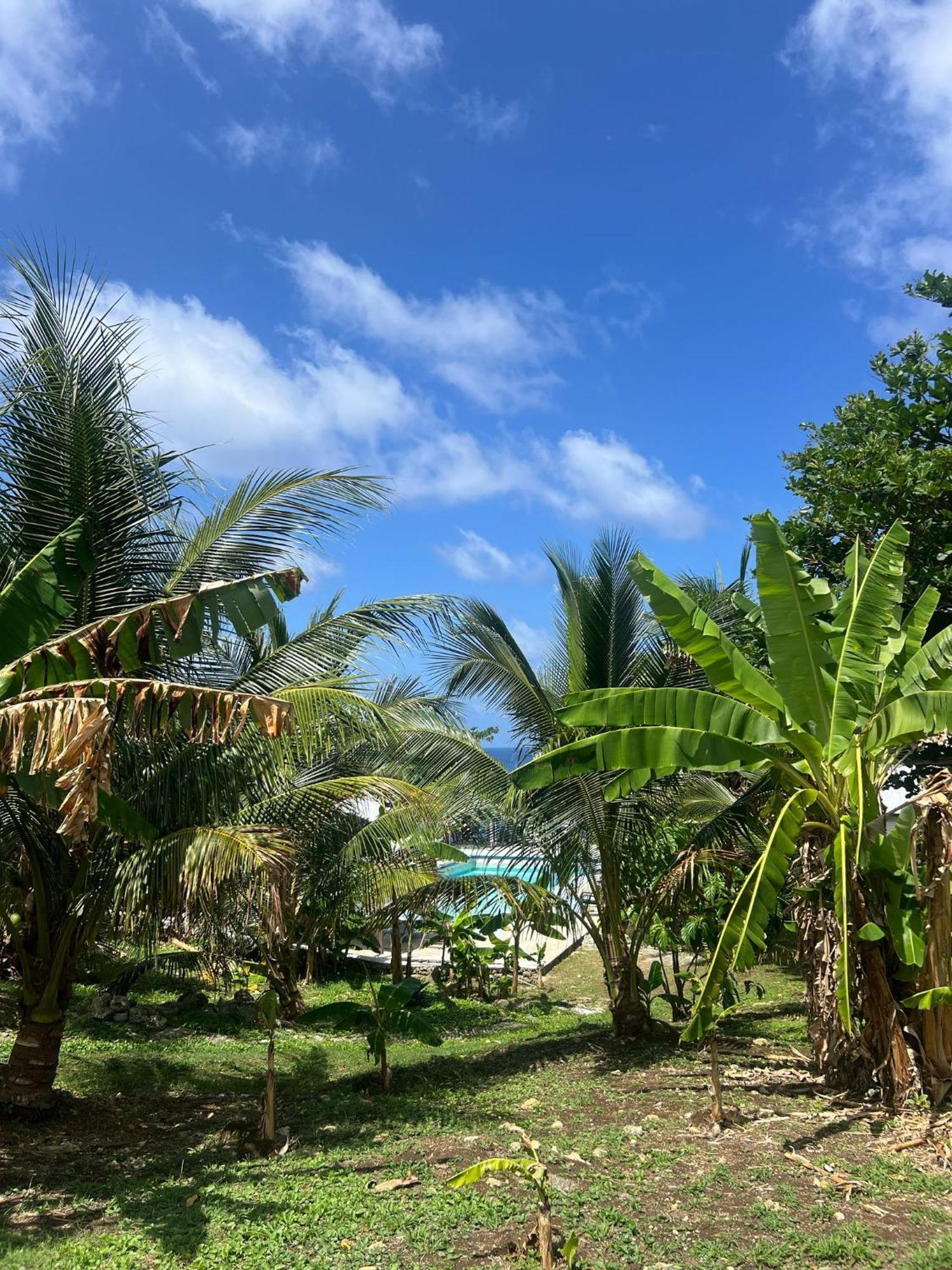 The Sea Cliff Hotel Resort & Spa Port Antonio Exterior photo